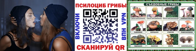 дарнет шоп  Лысьва  Галлюциногенные грибы ЛСД 